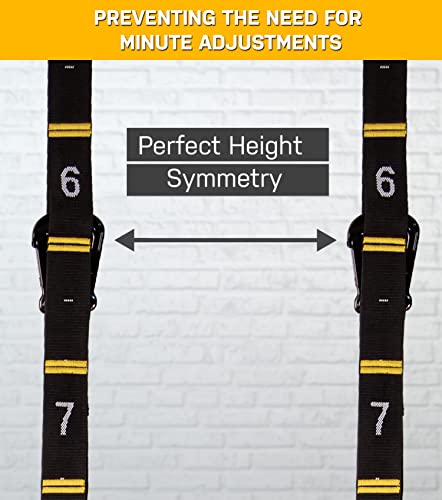 Wood Gymnastics Rings with Quick Adjust Numbered Straps and Exercise Videos Guide - Full Body Workout Rings, Calisthenics, Home Gym (Multi-Size)