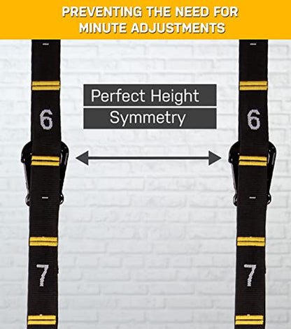 Wood Gymnastics Rings with Quick Adjust Numbered Straps and Exercise Videos Guide - Full Body Workout Rings, Calisthenics, Home Gym (Multi-Size)