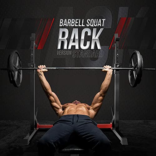 Yes4All Squat Rack for Home Gym, Adjustable Barbell Stand Rack, Multi-Function Weight Lifting, Dip Bar Station, Bench Press Rack Stand, Weight Plate Storage - Capacity Up to 600LBS
