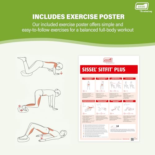 SISSEL SITFIT 14in Red | Active Sitting & Training | Strengthens Back & Pelvic Floor Muscles | Versatile Use: Legs & Veins | Adjustable Pressure | Includes Exercise Poster - color: Blue