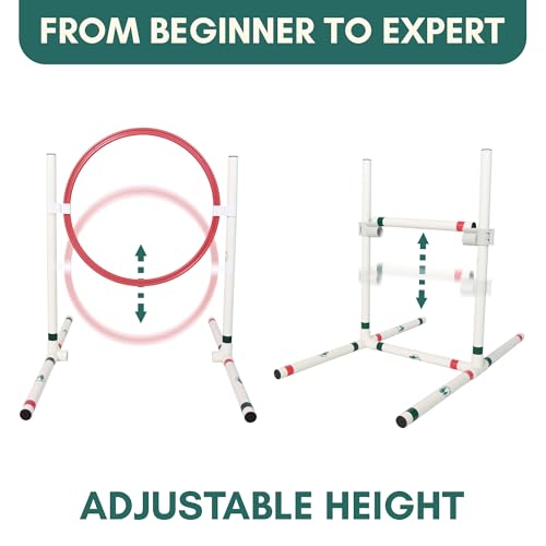ALBERT & MIA CATGILITY Cat Agility Equipment + Clicker Trainer Guide – Exercise Agility Course – Jumping Hurdles & Hoop, Tunnel (Small Dog & Cat Training) Clicker Training Obstacle Course for Cats