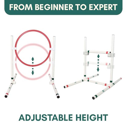 ALBERT & MIA CATGILITY Cat Agility Equipment + Clicker Trainer Guide – Exercise Agility Course – Jumping Hurdles & Hoop, Tunnel (Small Dog & Cat Training) Clicker Training Obstacle Course for Cats