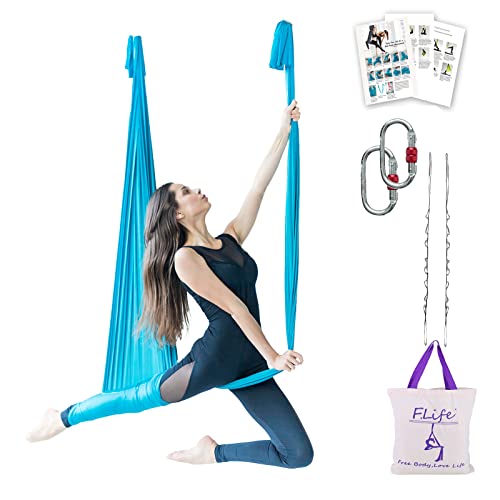 F.Life Aerial Silk Yoga Hammock & Swing for yoga Inversion,Strength training,starter hardware kit