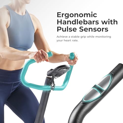 Sunny Health & FitnessPower Stepper
