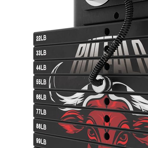 RitFit Buffalo Smith Machine, Power cage with LAT-Pull Down System & Cable Crossover System, All-in-One Squat Rack for Home Gym, Power Rack - color: BLACK, size: Weight Stack Only