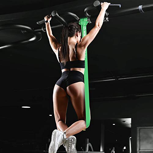 Resistance Bands, Pull Up Bands, Workout Bands for Exercise, Thick Heavy Resistance Band Set with Door Anchor, Elastic Bands for Body Stretching, Training at Home/Gym for Men & Women