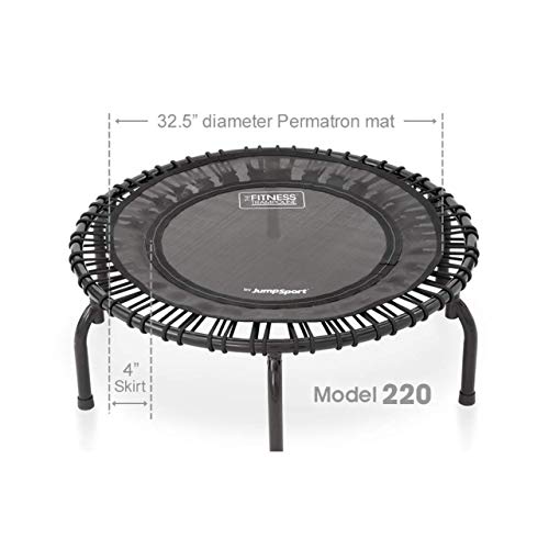 JumpSport 220 in Home Cardio Fitness Rebounder - Mini Trampoline with Handle Bar Accessory, Premium Bungees and Workout DVD