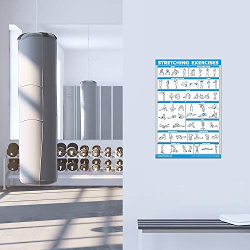 Palace Learning 2 Pack - Yoga Block Poses + Stretching Exercise Poster Set - Yoga Positions with Blocks Chart - Set of Two Fitness Charts
