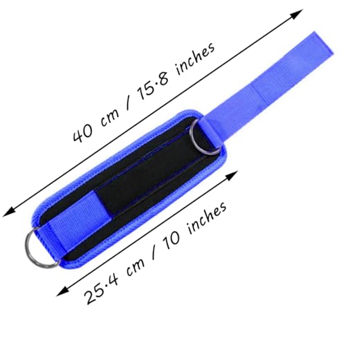 Ankle Straps Ankle Resistance Bands Wrist Cuffs Padded Straps Adjustable Fitness Glute Kickback D-Ring for Cable Machine Gym Foot Leg Training Brace Support 1 Pair - color: blue
