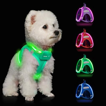 Light Up Dog Harness, Rechargeable LED Dog Harness for Small Medium Dogs - color: Light Green, size: M