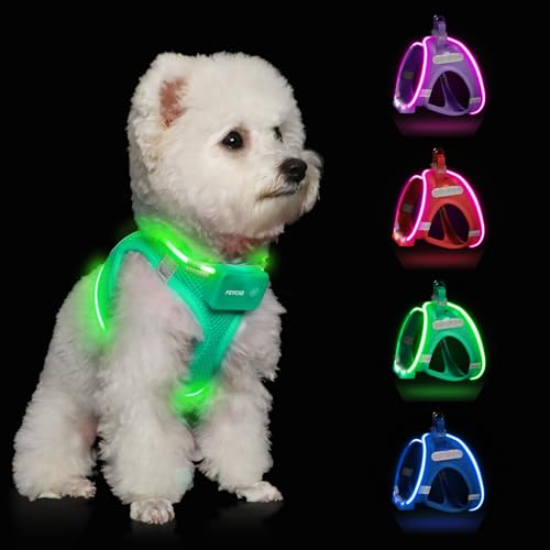 Light Up Dog Harness, Rechargeable LED Dog Harness for Small Medium Dogs - color: Light Green, size: L