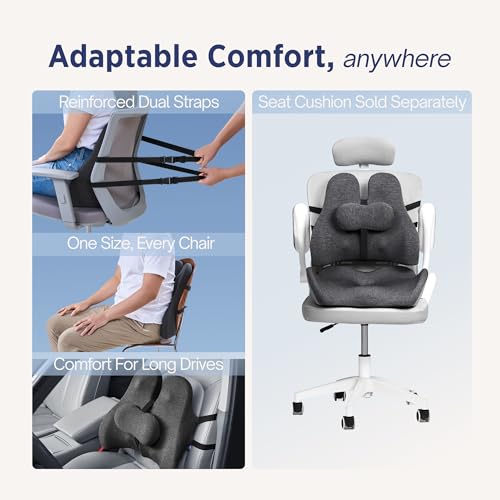 Lumbar Support Pillow for Office Chair - Lower Back Pain Relief Cushion with Adjustable SpineAlign™ Bolster, Memory Foam Pillow for Car, Couch, Gaming Seats - Dual Straps, Dark Grey