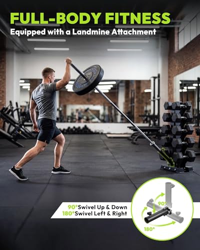 HANDBODE A-Frame Dumbbell Rack Heavy Duty Weight Stand for Dumbbells, Space-Saving Metal Storage Organizer, Sturdy Dumbbell Holder for Home Gym - style: 300 lb Set (10, 20, 30, 40, 50 lb) *2 & Rack