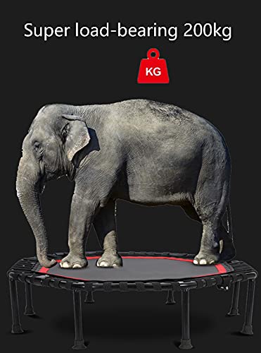 Replacement Trampoline Pad Outdoor Fitness Mute Foldable Trampoline with Armrests Mini Exercise Rebounder for Adults Indoor/Garden Workout Equipment,Maximum Load 200Kg