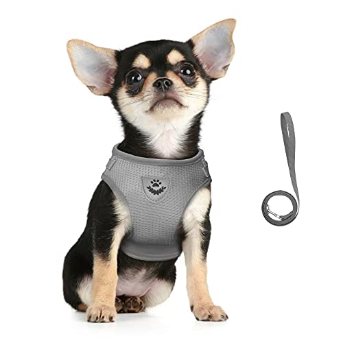 Dog Harness and Leash Set for Walking, Soft Mesh Adjustable Easy Control Lightweight Cat Vest Harnesses with Reflective Strips, Escape Proof Small Dogs Cats Vests