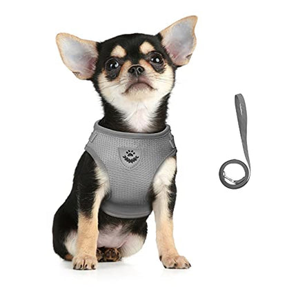 Dog Harness and Leash Set for Walking, Soft Mesh Adjustable Easy Control Lightweight Cat Vest Harnesses with Reflective Strips, Escape Proof Small Dogs Cats Vests