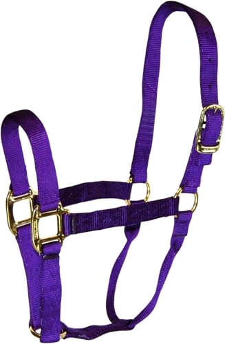 Hamilton Quality Horse Halter, 800-1100 lbs, Purple - color: Purple, size: Average, 800-1100lbs