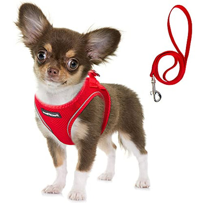 Fida Comfy Dog Harness with Leash, Soft Puppy Vest Escape Proof, Breathable Lightweight Soft Mesh, Adjustable Reflective Step-in Harness for Small Pet Walking (S, Red) - color: Fiery Red, size: S (Neck:12.6"-13.8"; Girth:16.1"-17.7")