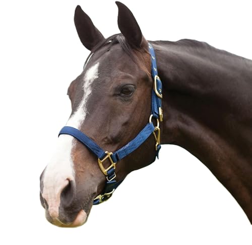 Hamilton Deluxe Horse Halter, 1" Triple Ply Nylon, Adjustable Chin Strap, Easy On/Off Throat Snap, Average Horse, Arabian, or Yearling Draft, 800-1100 lbs, Navy Blue - color: Navy Blue, size: Average, 800-1100lbs