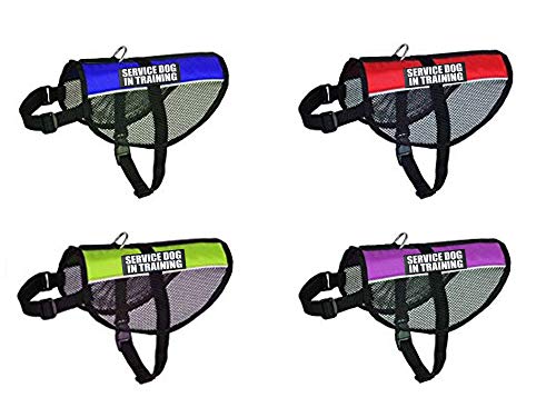 Service Dog in Training mesh Vest Harness Cool Comfort. Purchase Comes with 2 Reflective Service Dog in Training Removable Patches. Please Measure Your Dog Before Ordering - color: Blue, size: Girth 21-24"