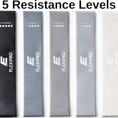 Resistance Bands Set, 5 Levels Exercise Bands with Handles, Door Anchor & Carry Bag, Home Gym Workout Equipment for Men & Women