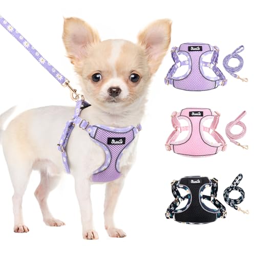 SlowTon Small Dog Harness - No Pull Dog Harness and Leash Set, Soft Mesh Lightweight Puppy Vest Harnesses, Adjustable Pet Harnesses for XXS XS Small Medium Easy Walk Hiking (Purple, S)
