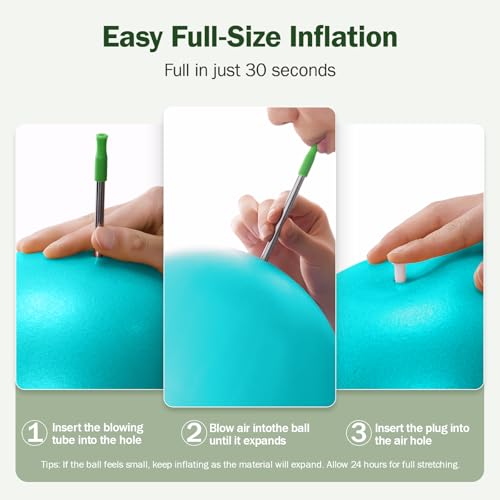 Slim Panda Pilates Ball, 9 Inch Small Exercise Ball, Anti Burst Mini Yoga Ball for Stability, Workout, Barre, Core Strength, Physical Therapy, Balance, Stretching