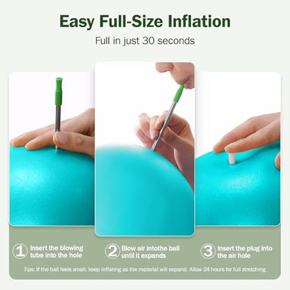 Slim Panda Pilates Ball, 9 Inch Small Exercise Ball, Anti Burst Mini Yoga Ball for Stability, Workout, Barre, Core Strength, Physical Therapy, Balance, Stretching