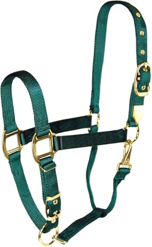 Hamilton Deluxe Horse Halter, 1" Triple Ply Nylon, Adjustable Chin Strap, Easy On/Off Throat Snap, Large Horse or 2 Year Old Draft, 1100-1600 lbs, Dark Green - color: Dark Green, size: Large, 1100-1600lbs