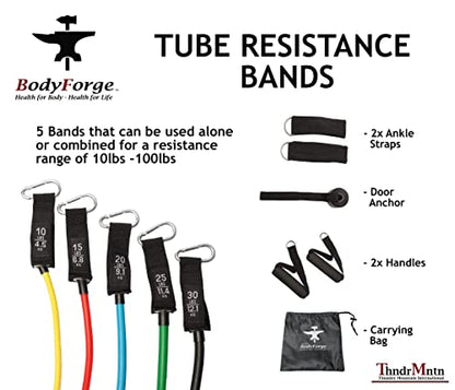 BodyForge Resistance Bands, Exercise Bands, Resistance Bands for Working Out, Work Out Bands with Handles for Men and Women Fitness, Strength Training Home Gym Equipment - size: 2 Pack