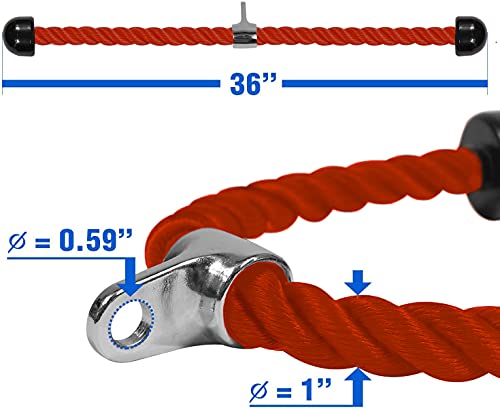 Yes4All Deluxe Tricep Rope Cable Attachment, 27 & 36 inch with 4 Colors, Exercise Machine Attachments Pulley System Gym Pull Down Rope with Carabiner - color: E. 36" Red
