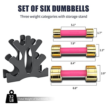 TECHNOAGE Round Dumbbell Sets with Steel Handle, Odorless Neoprene rubber Handle Cover - color: Rose Red-6PC