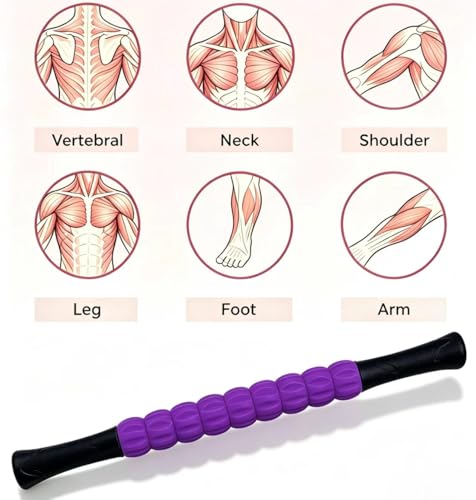 Muscle Roller Stick - A Full-Body Massage Roller that Can Relieve Muscle Soreness, Cramps and Tension After Exercise. It is a Handheld Physical Therapy and Recovery Tool（Black and Purple） - color: Purple