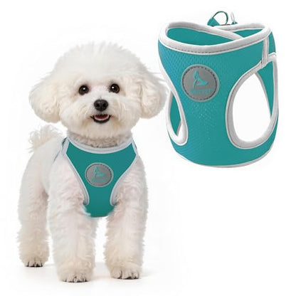 Kruz Dog Harness (Chest 16"-17", Weight 10–15 lbs) Athletica Adjustable Heavy Duty No Choke Puppy Vest for Small Dogs Lightweight Air Mesh, Reflective, Puppy Essentials – Turquoise, Medium