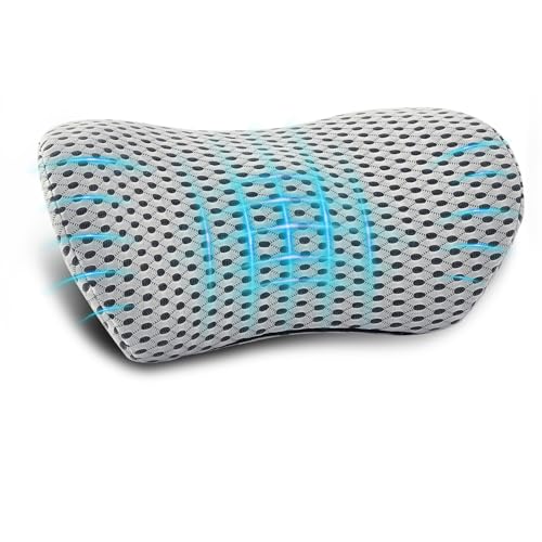 Lumbar Pillow, Memory Foam Lumbar Support Pillow for Office Chair and Car Seat, Ergonomic Streamline Back Pillow for Lower Back Pain Relief, Back Support Pillow for Sitting, Driving, Traveling - color: Silver