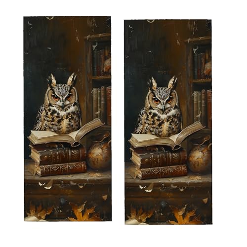Owl Book Hand Towel for Bathroom 2 Pack,Soft Microfiber Face Towels for Bath,Kitchen,Spa,and Gym,Decorative Absorbent Polyester Towels,Perfect for Home or Hotel Decor 14.5x28in - color: Owl38