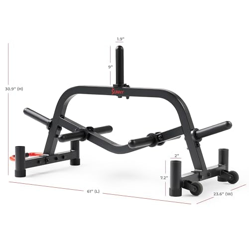 Sunny Health & Fitness Multi-Weight Storage Rack Stand for Dumbbells, Kettlebells, Olympic Weight Plates, Barbell, Medicine Ball - style: Plate & Barbell Rack