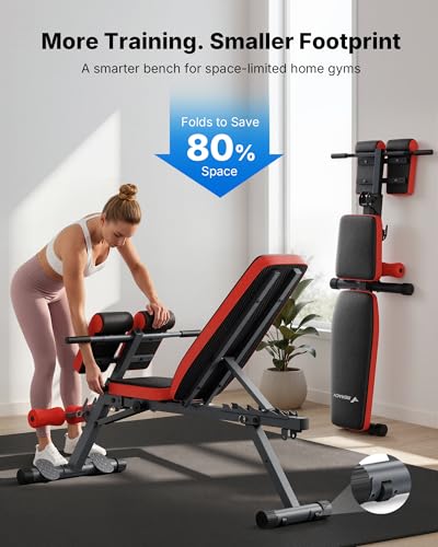 MERACH Back Extension Machine Roman Chair, 660LBS Adjustable Foldable