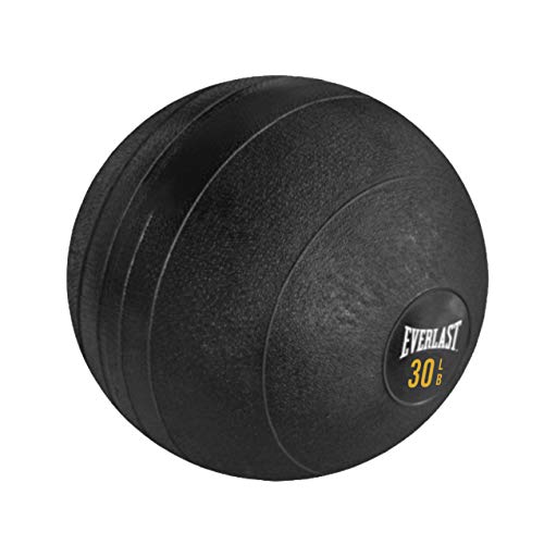Everlast Flex Slam Ball