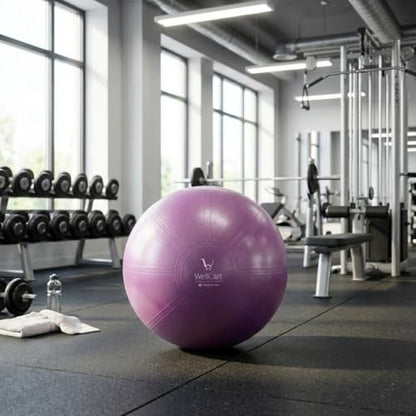 Inflatable Body Balance Ball Kit. Anti-Burst, Yoga-Ball, Luftpumpe, Workout-Program