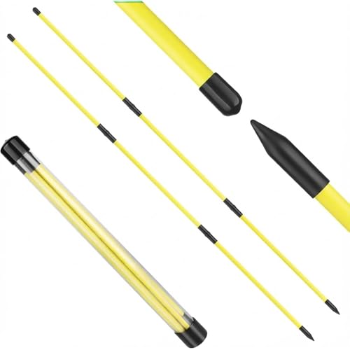 Golf Alignment Sticks 2 Pack, Collapsible Practice Rods with Tube Case, Portable Training Aid for Aiming, Putting, Swing, Training - Home & Driving Range Use