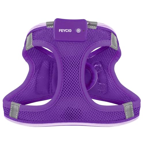 Light Up Dog Harness, Rechargeable LED Dog Harness for Small Medium Dogs - color: Purple, size: XS
