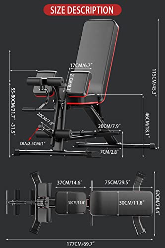 Utility Weight Bench with Leg Extension - Multi-Position Adjustable Bench for Strength Training, Dumbbell Exercise and Ab Workouts