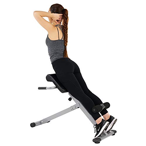 Sunny Health & Fitness Multi-Function Roman Chair with Dip Station & Sit-Up Bench, Adjustable Heavy-Duty Strength Training Equipment for Glutes, Core & Lower Body Workouts, Hyperextension Machine for Home Gym - color: Sliver