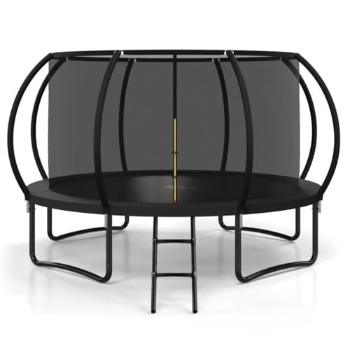 8FT 10FT 12FT 14FT 16FT Outdoor Trampoline with Safety Enclosure Net - color: Black, size: 12 FT