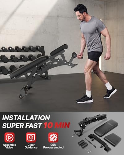 WB01 Adjustable Weight Bench, 1300LB Heavy Duty Workout Bench for Home Gym, Multi-Angle Gym Bench with Thickened Steel Frame, Incline Decline Flat Bench for Full Body Training & Bench Press