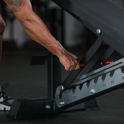 Titan Fitness TITAN Series Adjustable Bench, Supports 600 LB Incline, 1,000 LB Flat, Versatile Single Post Utility Workout Bench for Home Gym, Weightlifting, Strength Training