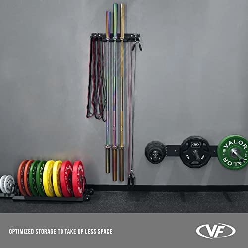 Valor Fitness Wall Mount Gym Storage Rack Organizer 6 Pegs - Sports Equipment Organizer for Jump Ropes Chains Weight Belt Hanger Home Gym - Max Weight 330 lbs.