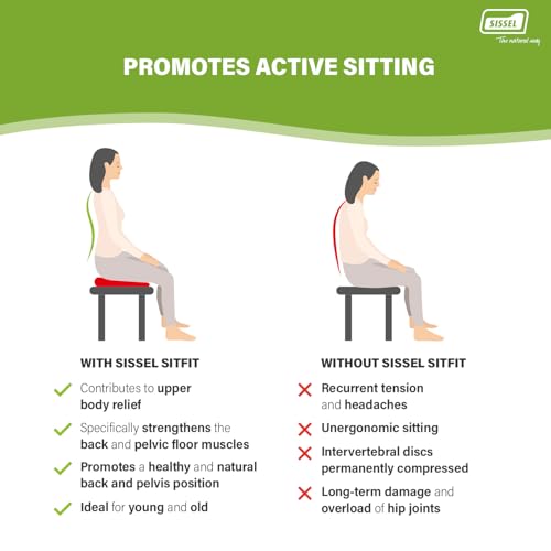 SISSEL SITFIT 14in Red | Active Sitting & Training | Strengthens Back & Pelvic Floor Muscles | Versatile Use: Legs & Veins | Adjustable Pressure | Includes Exercise Poster - color: Black
