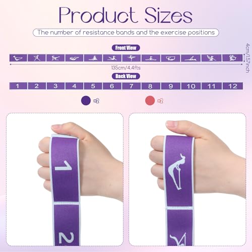 4 Pcs 12 Loops Stretch Bands for Yoga, Pilates, Physical Therapy - Elastic Strap for Flexibility, Leg Exercise, Dance Fitness Equipment (2 Purple, 2 Pink)